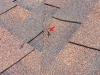 roof-nail-2